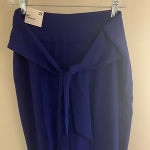 Professional dress pants